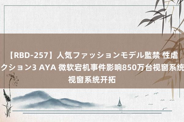 【RBD-257】人気ファッションモデル監禁 性虐コレクション3 AYA 微软宕机事件影响850万台视窗系统开拓