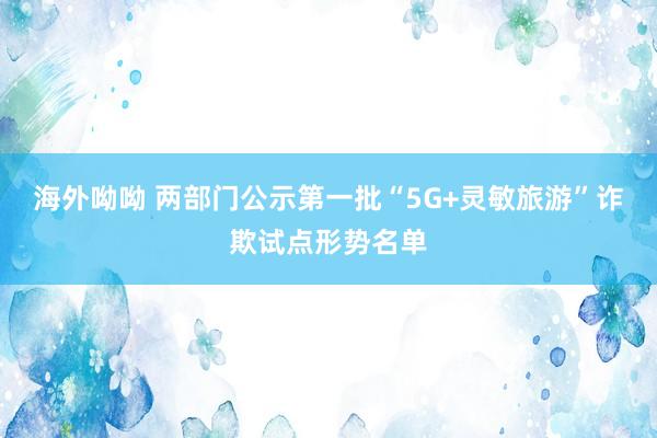 海外呦呦 两部门公示第一批“5G+灵敏旅游”诈欺试点形势名单