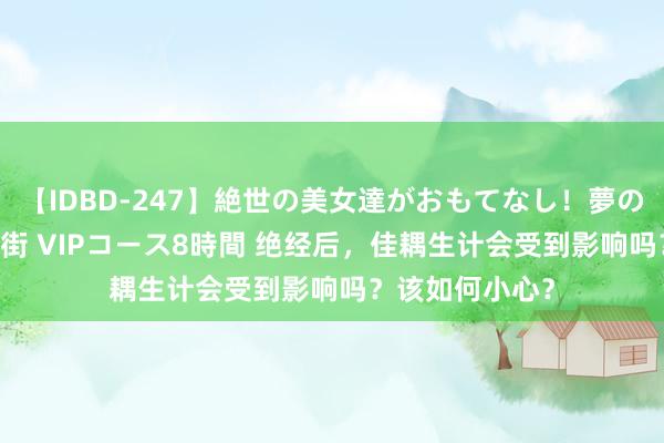 【IDBD-247】絶世の美女達がおもてなし！夢の桃源郷 IP風俗街 VIPコース8時間 绝经后，佳耦生计会受到影响吗？该如何小心？