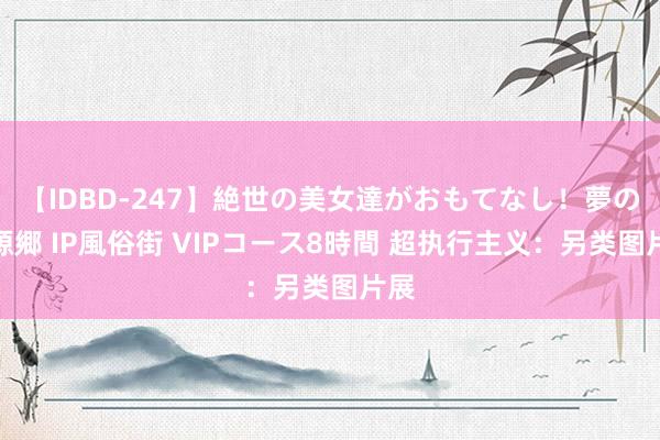 【IDBD-247】絶世の美女達がおもてなし！夢の桃源郷 IP風俗街 VIPコース8時間 超执行主义：另类图片展