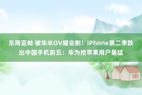 东南亚呦 被华米OV耀会剿！iPhone第二季跌出中国手机前五：华为抢苹果用户最猛