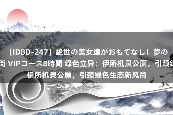 【IDBD-247】絶世の美女達がおもてなし！夢の桃源郷 IP風俗街 VIPコース8時間 绿色立异：伊所机灵公厕，引颈绿色生态新风尚