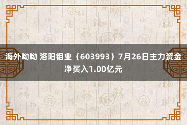 海外呦呦 洛阳钼业（603993）7月26日主力资金净买入1.00亿元