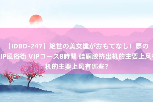 【IDBD-247】絶世の美女達がおもてなし！夢の桃源郷 IP風俗街 VIPコース8時間 硅酮胶挤出机的主要上风有哪些？