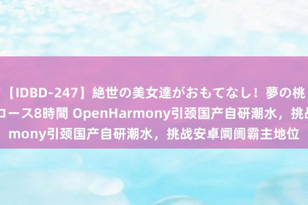 【IDBD-247】絶世の美女達がおもてなし！夢の桃源郷 IP風俗街 VIPコース8時間 OpenHarmony引颈国产自研潮水，挑战安卓阛阓霸主地位