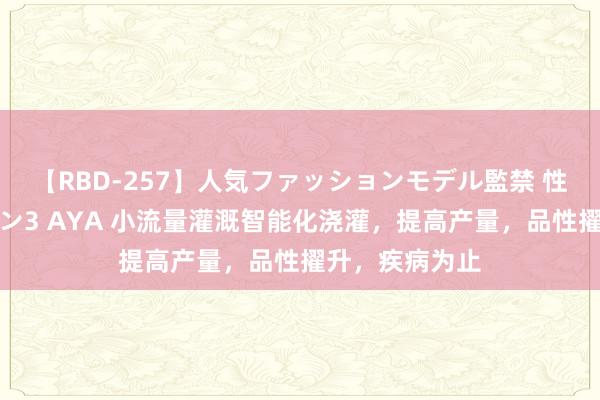 【RBD-257】人気ファッションモデル監禁 性虐コレクション3 AYA 小流量灌溉智能化浇灌，提高产量，品性擢升，疾病为止