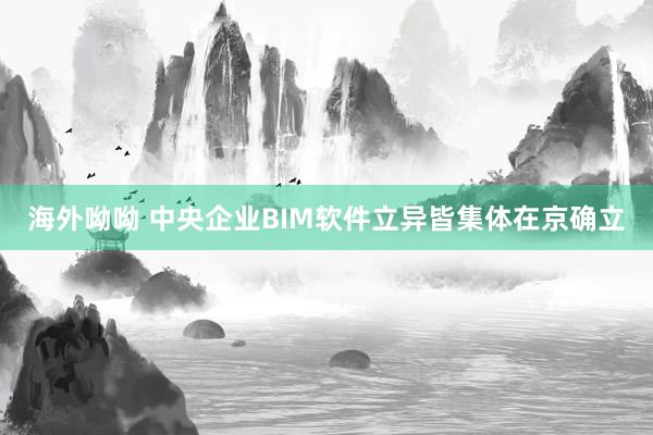 海外呦呦 中央企业BIM软件立异皆集体在京确立