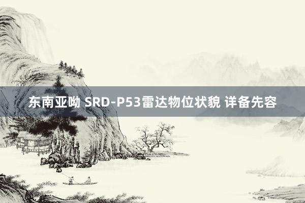 东南亚呦 SRD-P53雷达物位状貌 详备先容