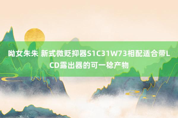 呦女朱朱 新式微贬抑器S1C31W73相配适合带LCD露出器的可一稔产物