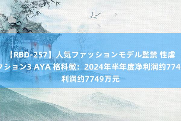 【RBD-257】人気ファッションモデル監禁 性虐コレクション3 AYA 格科微：2024年半年度净利润约7749万元