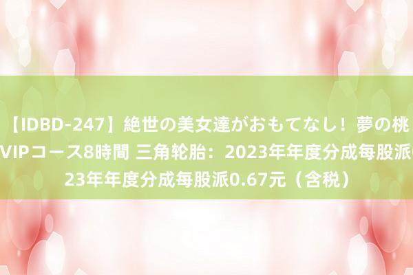 【IDBD-247】絶世の美女達がおもてなし！夢の桃源郷 IP風俗街 VIPコース8時間 三角轮胎：2023年年度分成每股派0.67元（含税）