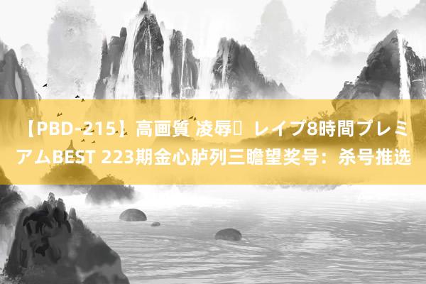 【PBD-215】高画質 凌辱・レイプ8時間プレミアムBEST 223期金心胪列三瞻望奖号：杀号推选