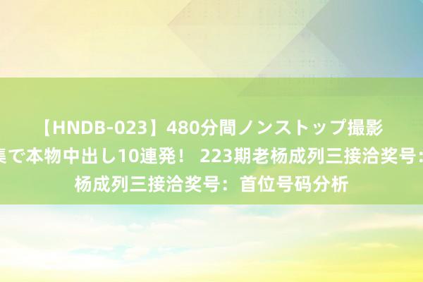 【HNDB-023】480分間ノンストップ撮影 ノーカット編集で本物中出し10連発！ 223期老杨成列三接洽奖号：首位号码分析