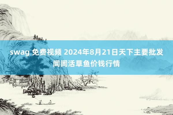 swag 免费视频 2024年8月21日天下主要批发阛阓活草鱼价钱行情