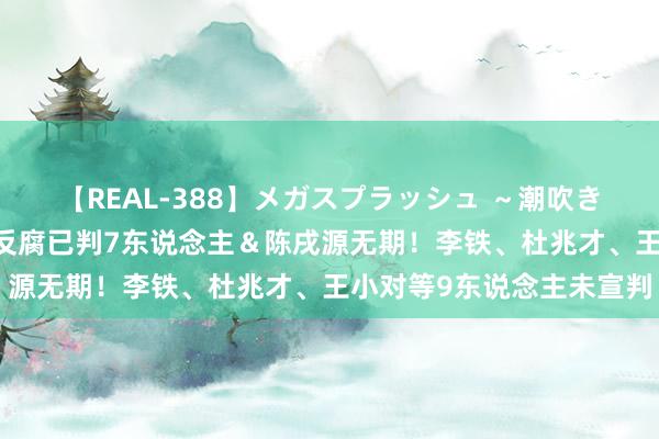 【REAL-388】メガスプラッシュ ～潮吹き絶頂スペシャル～ 足坛反腐已判7东说念主＆陈戌源无期！李铁、杜兆才、王小对等9东说念主未宣判