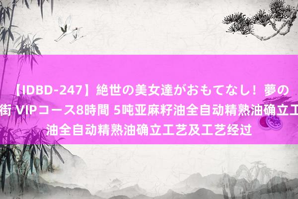 【IDBD-247】絶世の美女達がおもてなし！夢の桃源郷 IP風俗街 VIPコース8時間 5吨亚麻籽油全自动精熟油确立工艺及工艺经过