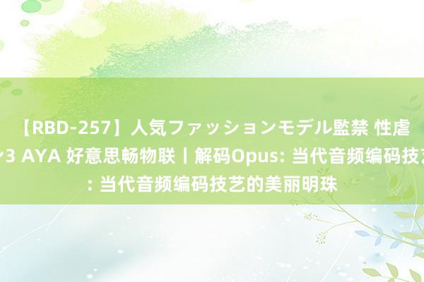 【RBD-257】人気ファッションモデル監禁 性虐コレクション3 AYA 好意思畅物联丨解码Opus: 当代音频编码技艺的美丽明珠