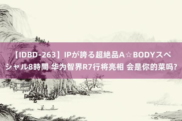 【IDBD-263】IPが誇る超絶品A☆BODYスペシャル8時間 华为智界R7行将亮相 会是你的菜吗?