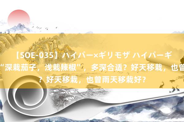 【SOE-035】ハイパー×ギリモザ ハイパーギリモザ Ami “深栽茄子，浅栽辣椒”，多深合适？好天移栽，也曾雨天移栽好？