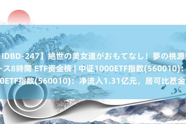 【IDBD-247】絶世の美女達がおもてなし！夢の桃源郷 IP風俗街 VIPコース8時間 ETF资金榜 | 中证1000ETF指数(560010)：净流入1.31亿元，居可比基金前三