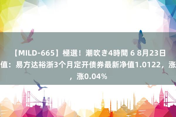 【MILD-665】極選！潮吹き4時間 6 8月23日基金净值：易方达裕浙3个月定开债券最新净值1.0122，涨0.04%