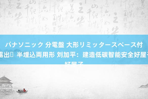 パナソニック 分電盤 大形リミッタースペース付 露出・半埋込両用形 刘加平：建造低碳智能安全好屋子