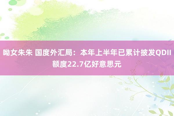 呦女朱朱 国度外汇局：本年上半年已累计披发QDII额度22.7亿好意思元