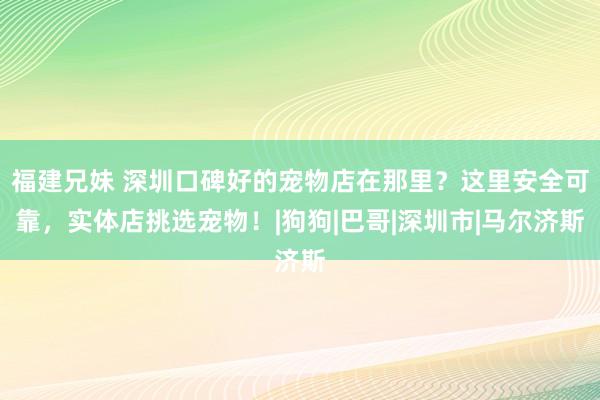 福建兄妹 深圳口碑好的宠物店在那里？这里安全可靠，实体店挑选宠物！|狗狗|巴哥|深圳市|马尔济斯