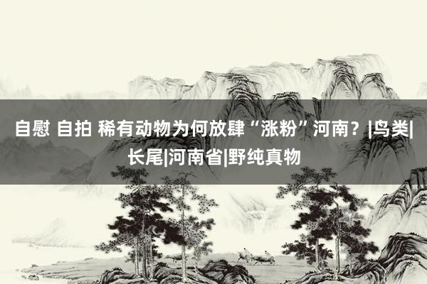 自慰 自拍 稀有动物为何放肆“涨粉”河南？|鸟类|长尾|河南省|野纯真物