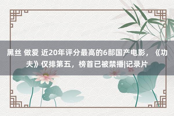 黑丝 做爱 近20年评分最高的6部国产电影，《功夫》仅排第五，榜首已被禁播|记录片